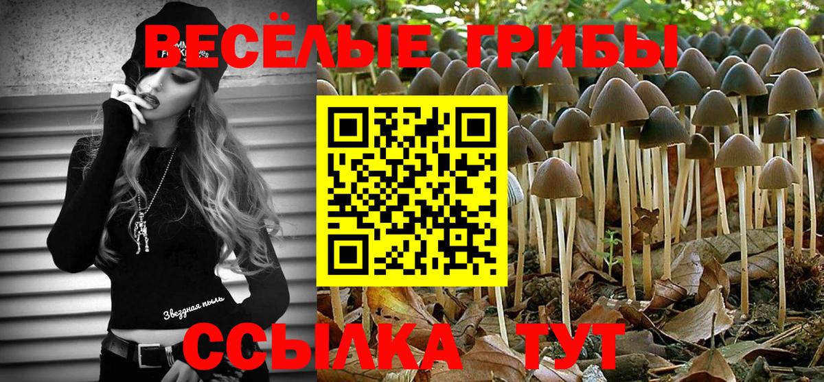 КОКАИН  ГАШИШ  Ногинск  Вход с VPN  МЕФ   Каннабис  ГАШИШ  ЭКСТАЗИ  COCAIN  Альфа ПВП СК кристаллы 