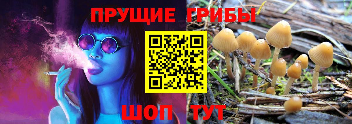 Галлюциногенные грибы MAGIC MUSHROOMS Ногинск
